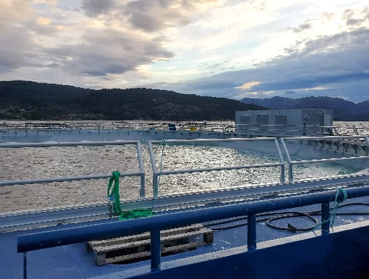 PCI & Innovasea: Efficient, cost effective and eco-friendly Oxygen Solutions for Aquaculture in Norway
